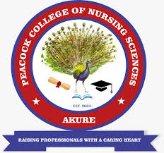 Peacock College of Nursing Sciences Admission Form 2025/2026.