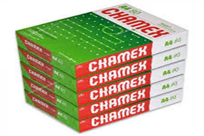 CHAMEX PAPER